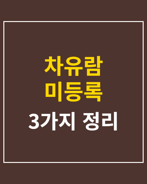 차유람 미등록