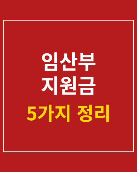 임산부 지원금 5가지
