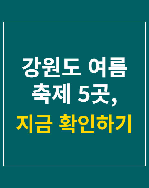 강원도 여름 축제