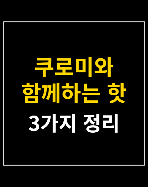 쿠로미와 함께하는 핫 서머 페스티벌