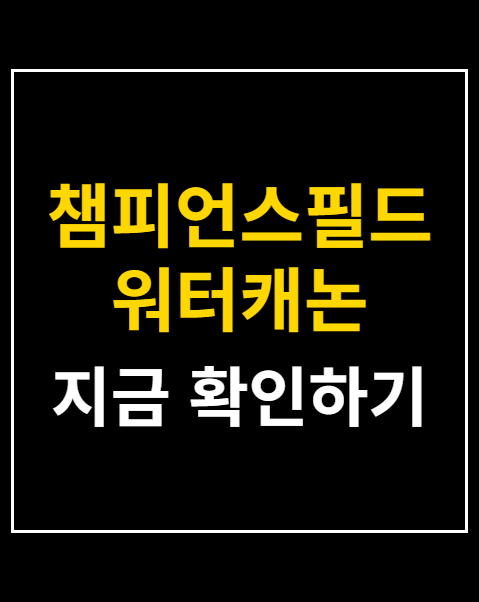 챔피언스필드 워터캐논