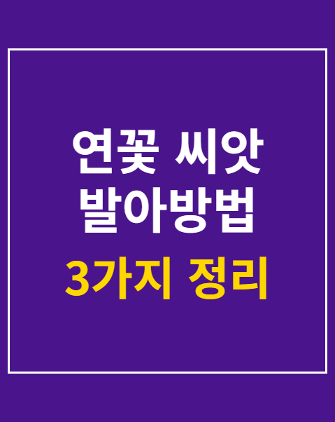 연꽃 씨앗 발아방법