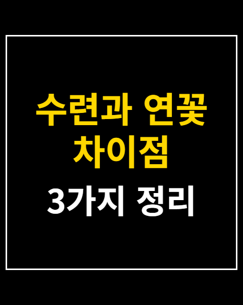 수련과 연꽃 차이점