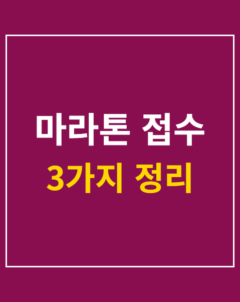 마라톤 접수