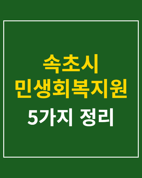 속초시 민생회복지원금 신청