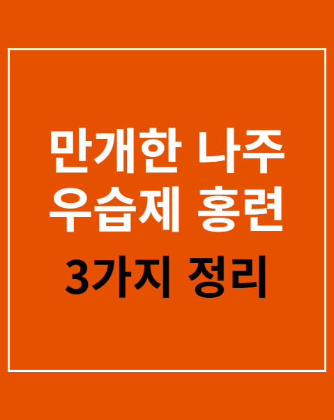 만개한 나주 우습제 홍련 축제