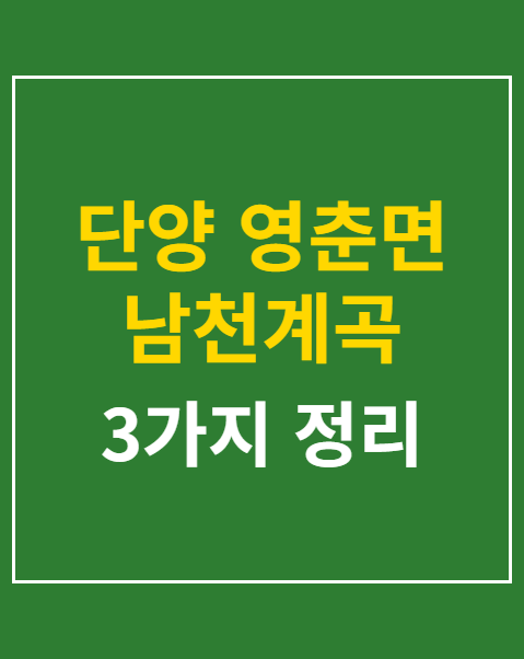 단양 영춘면 남천계곡 물놀이축제