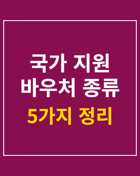 국가 지원 바우처 종류