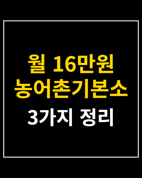 월 16만원 농어촌기본소득 8월 지급
