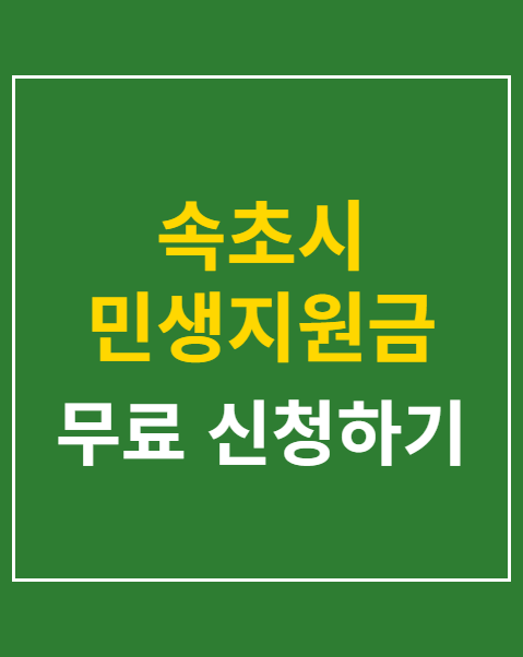 민생지원금 사용처 5부제