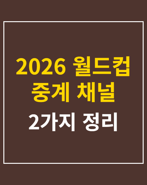 월드컵 중계 채널