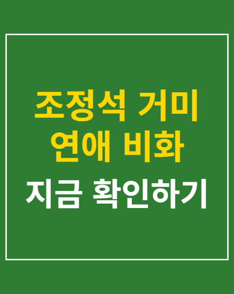 조정석 거미 연애 비화