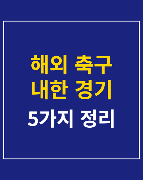해외 축구 내한 경기 직관 전 필수 준비물 5가지