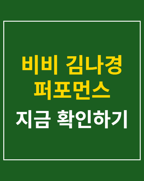 비비 김나경 퍼포먼스