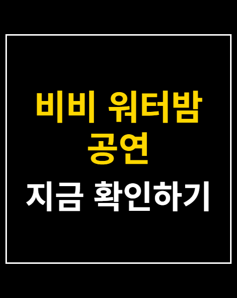 비비 워터밤 공연