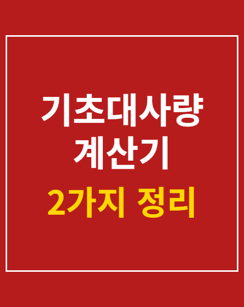 기초대사량 계산기 공식과 올바른 감량법 2가지