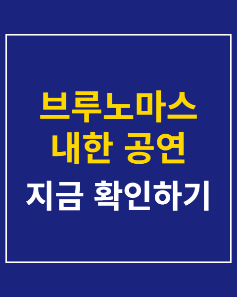 브루노마스 내한 공연