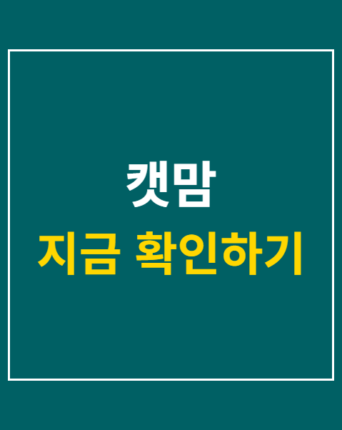 캣맘