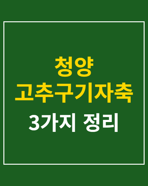 청양 고추구기자축제 사전예약