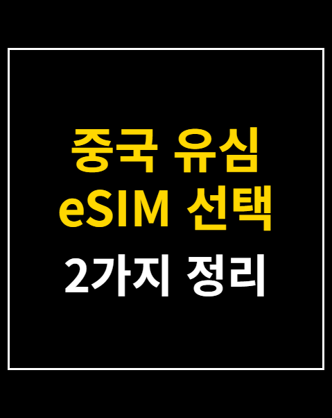 중국 유심 eSIM 선택 방법 2가지 비교