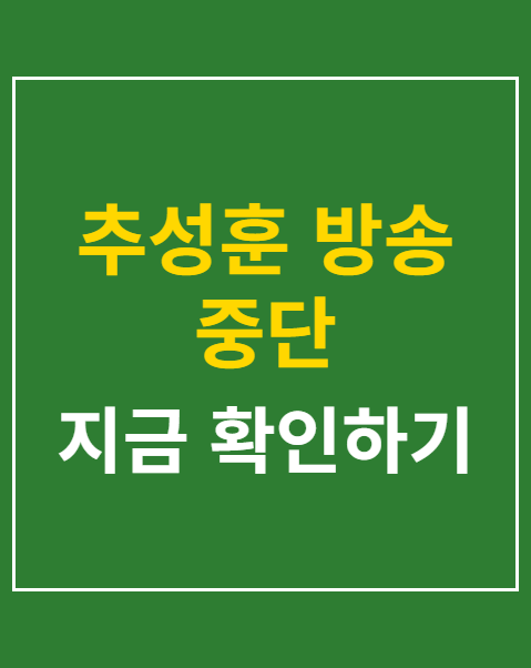 추성훈 방송 중단
