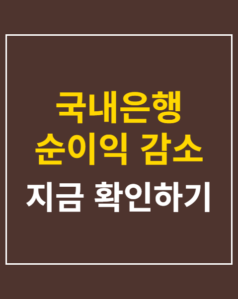 국내은행 순이익 감소