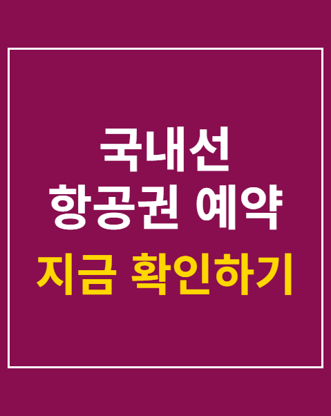 국내선 항공권 예약