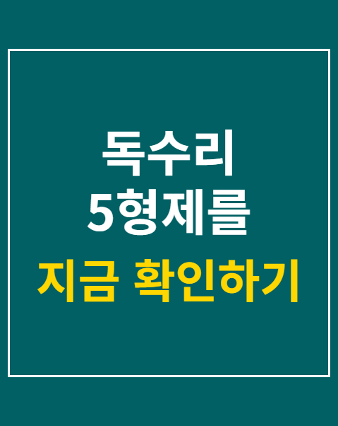 독수리 5형제를 부탁해