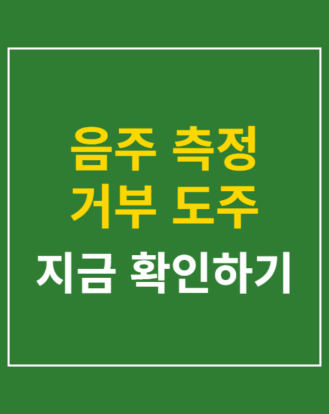 음주 측정 거부 도주