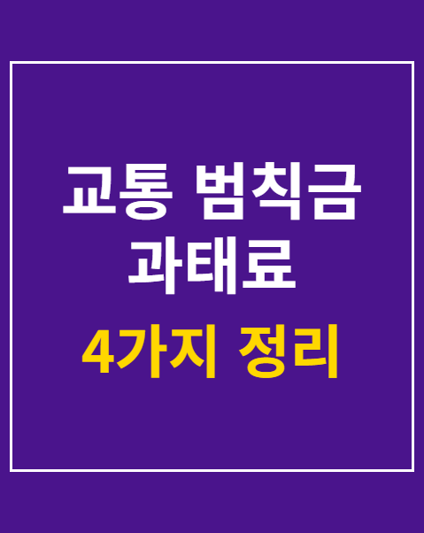 교통 범칙금 과태료 차이점
