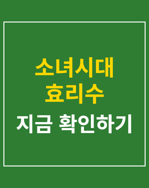 소녀시대 효리수