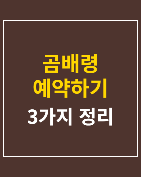 곰배령 예약하기