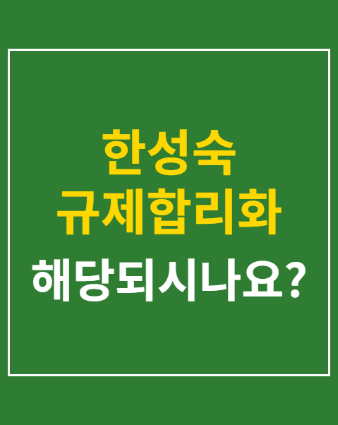한성숙 규제합리화