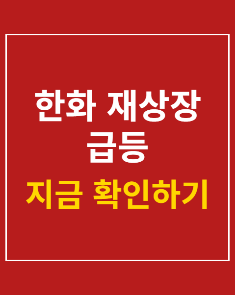 한화 재상장 급등