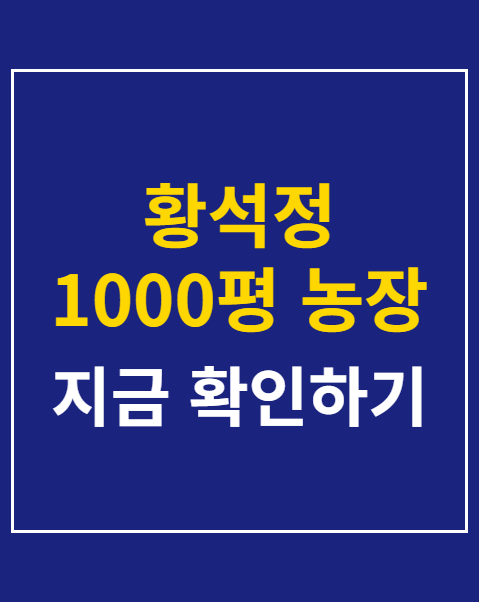 황석정 1000평 농장