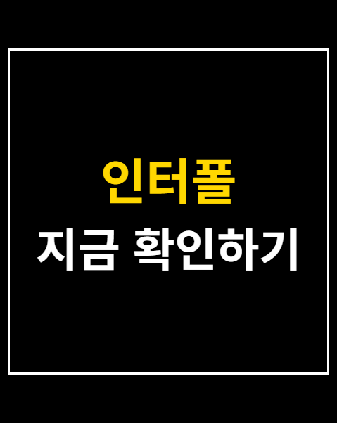 인터폴