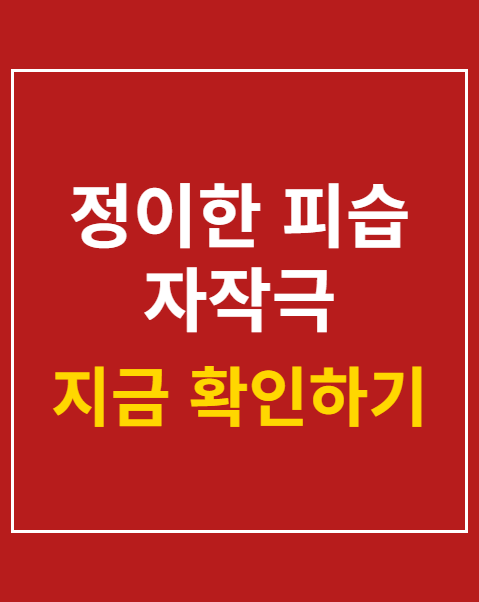 정이한 피습 자작극