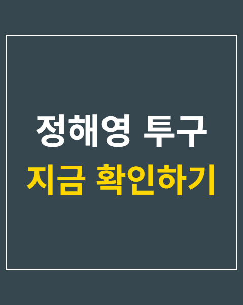 정해영 투구