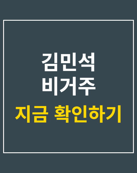 김민석 비거주 1주택자