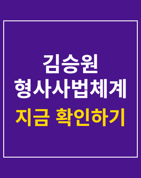 김승원 형사사법체계