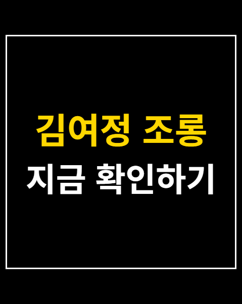 김여정 조롱
