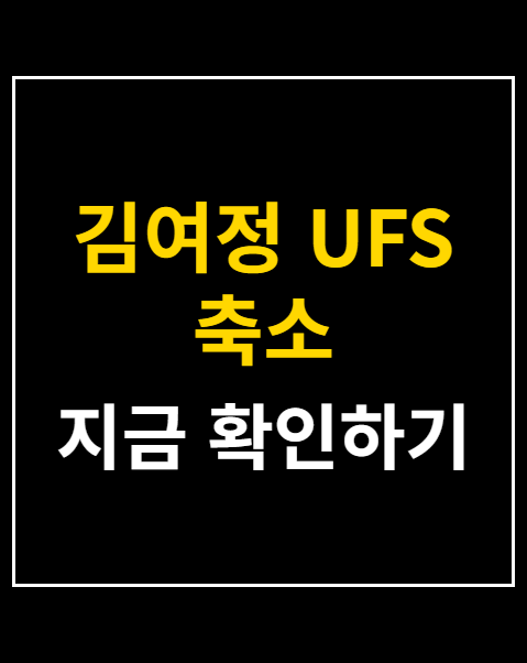 김여정 UFS 축소