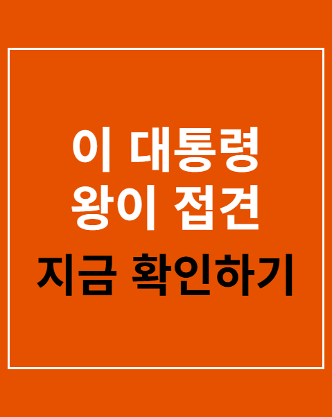 이 대통령 왕이 접견