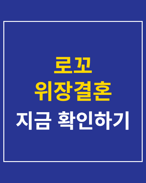 로꼬 위장결혼 악플러 벌금