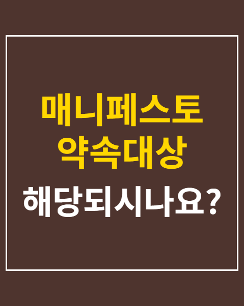 매니페스토 약속대상