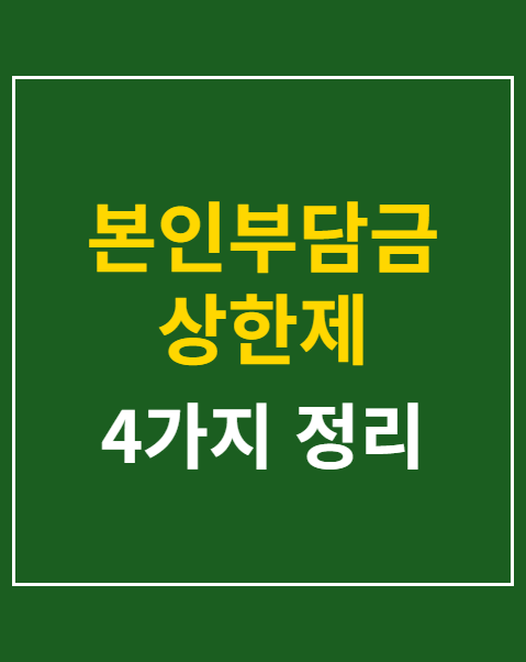 본인부담금 상한제 소득분위
