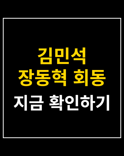 김민석 장동혁 회동