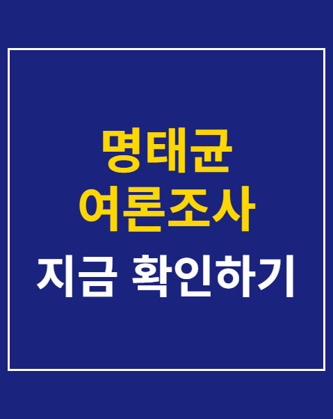 명태균 여론조사 수수