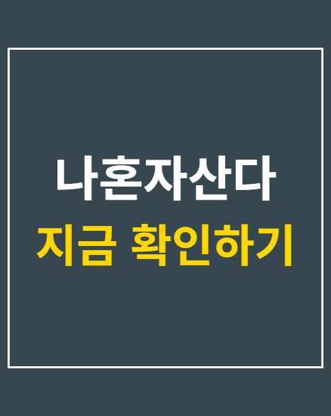 나혼자산다