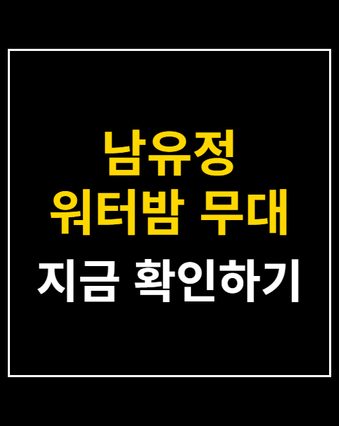 남유정 워터밤 무대